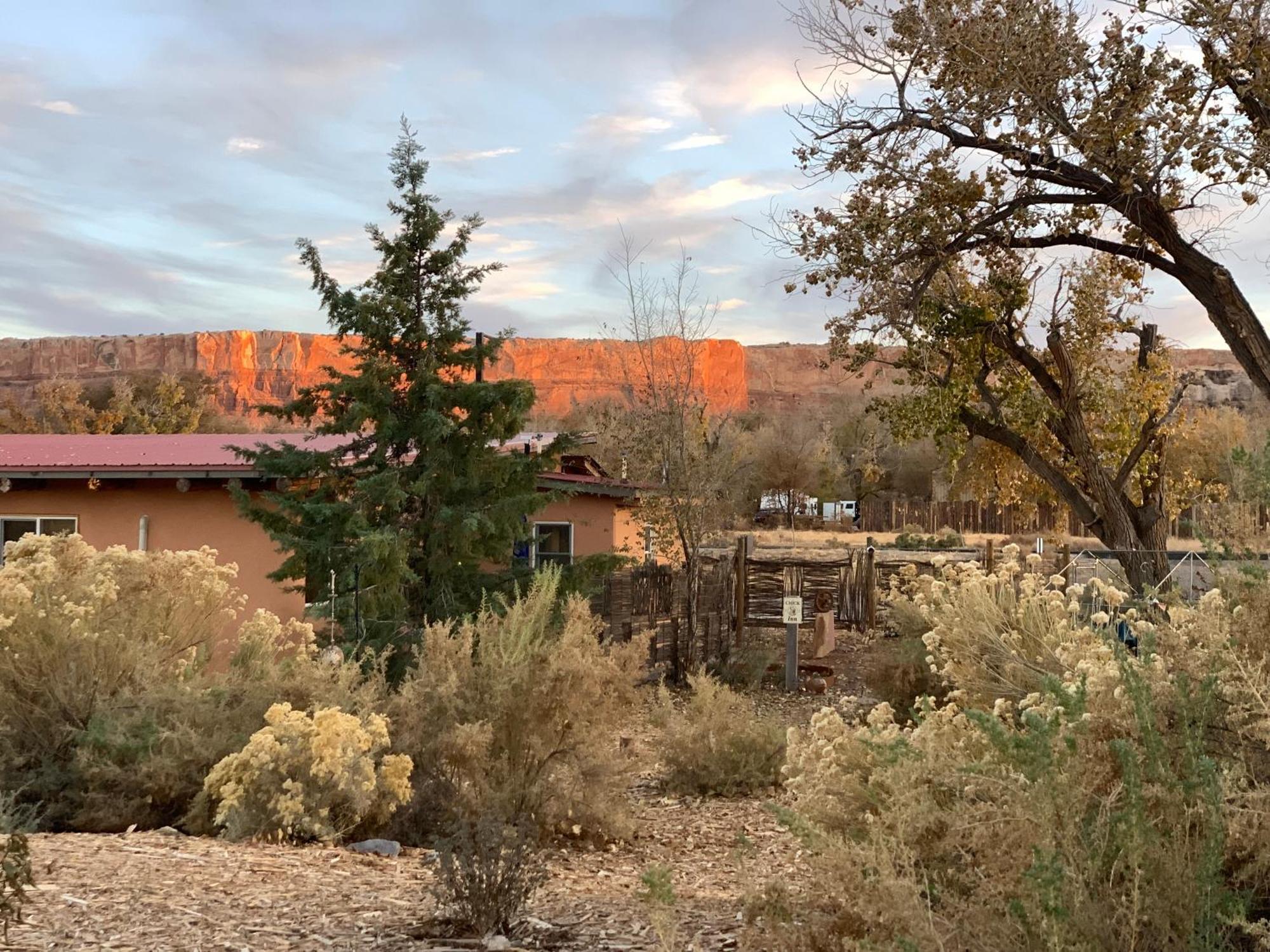 Willow Street Cottages Bluff Exteriör bild